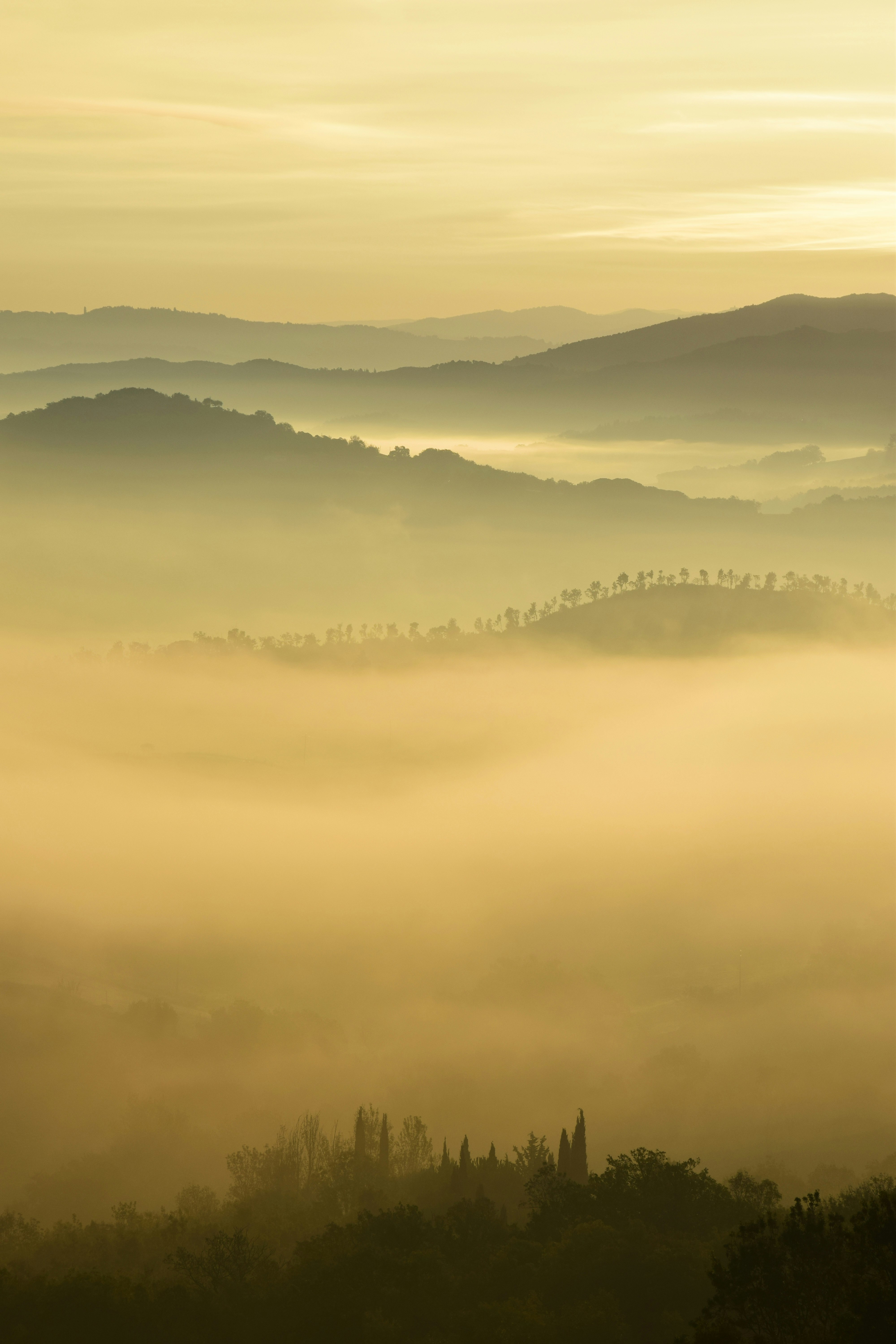 trees and hill surrounded by fogs under white clouds